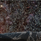 Image for article titled What The Night Sky Would Look Like From Inside A Globular Cluster